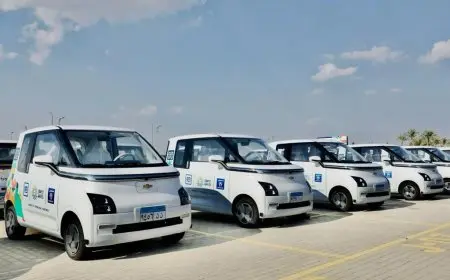 رئيس الحكومة يؤكد أهمية توطين صناعة السيارات الكهربائية في مصر لتحقيق التنمية المستدامة