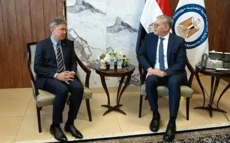 وزير البترول يلتقي بتروناس الماليزية لتعزيز الشراكة الاستراتيجية في قطاع الغاز الطبيعي