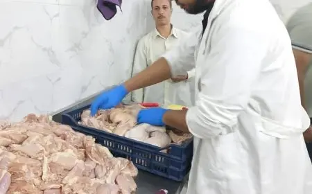 الزراعة تضبط 270 طن لحوم فاسدة وتحرر 981 محضرًا في سبتمبر