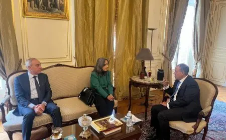 وزير الخارجية يعرب عن تقديره لدعم كوبا لترشيح الدكتور خالد العناني لمنظمة اليونسكو