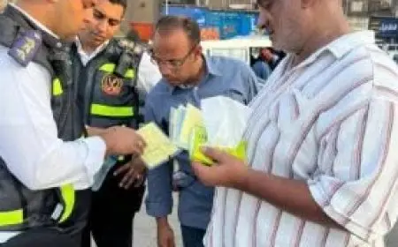 محافظ الجيزة يكشف عن ضبط 347 مخالفة لسائقي السرفيس وحجز 12 سيارة خلال أسبوع من الحملات التفتيشية