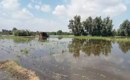 أراضي طرح النهر تتبع حرم النيل وتواجه خطر الغمر عند ارتفاع المناسيب