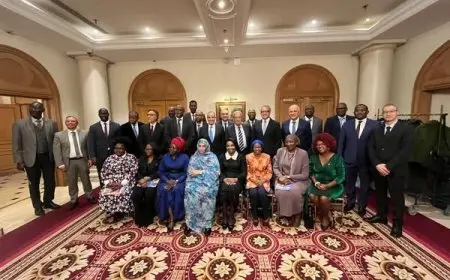وزير الخارجية يلتقي السفراء الأفارقة في اليونسكو بحضور موسى والعناني