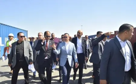 وزير الاستثمار يزور ميناء العين السخنة ويشرف على تقدم العمل في نظام الفحص المشترك