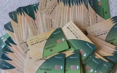 شروط حذف المستبعدين من بطاقات التموين في 2025 كيف تؤثر عليك