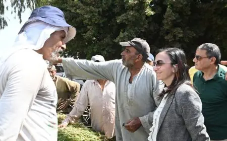 ارتفاع منسوب مياه نهر النيل يتسبب في تأثر 60 فدانا في البحيرة