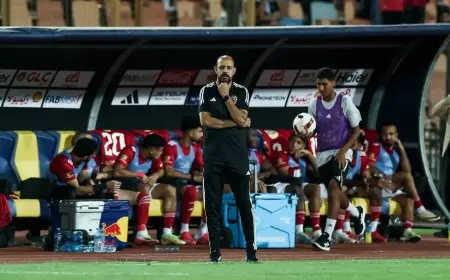 شوبير يعلن تفاصيل مثيرة عن المدرب الجديد للأهلي بعد نتائج النحاس