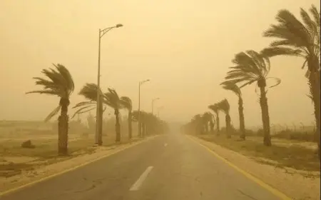 أجواء متقلبة واضطراب في الملاحة الجوية تحذير من الأرصاد حول طقس الغد