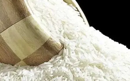 مصر تستعد لاستضافة منتدى الأرز الأفريقي يوم الثلاثاء المقبل