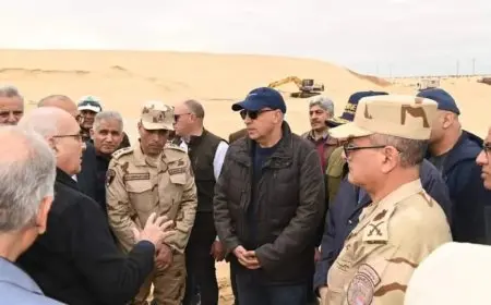 وزارة الري تحتفي بذكرى أكتوبر بإنجازات كبرى لتنمية سيناء وتعزيز الأمن المائي والزراعي