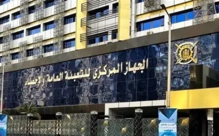 الإحصاء يعلن عن تنفيذ 158900 وحدة سكنية في مصر لعام 2023/2024 باستثمارات تبلغ 152 مليار جنيه