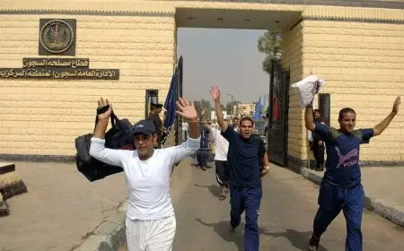 الرئيس السيسي يصدر قرارًا بالعفو عن 2735 محكومًا بمناسبة ذكرى نصر أكتوبر المجيد