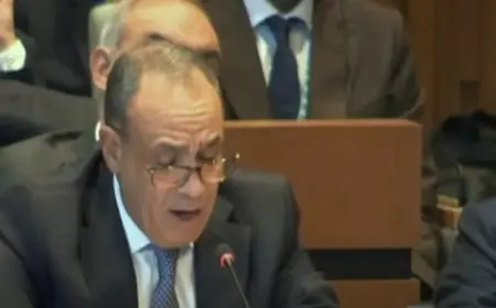 وزير الخارجية يعلن دعم دولي لخالد العناني في إدارة اليونسكو