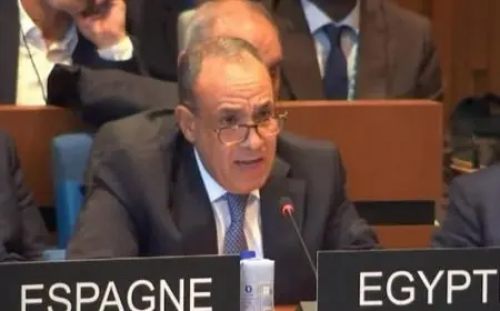 وزير الخارجية يطالب الدول بدعم ترشيح العناني لمنصب مدير عام اليونسكو