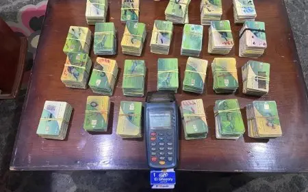 موعد انتهاء تقديم طلبات إضافة المواليد الجدد إلى بطاقات التموين في 2025