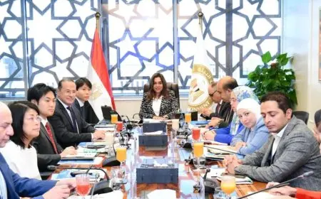 وزيرة التنمية المحلية تدعو إلى سرعة إنشاء مصانع بدائل البلاستيك في مدن مصرية متعددة