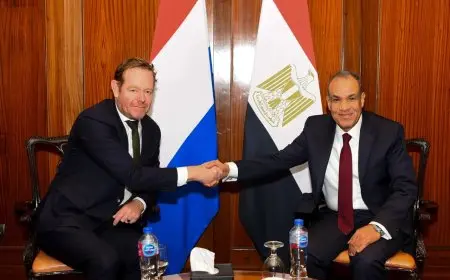 وزير الخارجية يؤكد ضرورة تأمين الحماية الكاملة للبعثات الدبلوماسية المصرية في هولندا