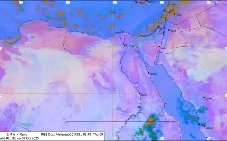 الأرصاد الجوية تحذر من أمطار متوقعة الليلة وتنبه السائقين من الشبورة المائية