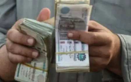 كل ما تحتاج معرفته عن قرض المشروعات متناهية الصغر من البنك الأهلي 2025 الشروط والتفاصيل الكاملة