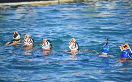 مصر تحصد 9 ميداليات في اليوم الأول من بطولة العالم للسباحة بالزعانف