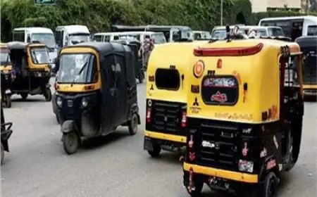 محافظة الجيزة تطلق مشروع ترقيم مركبات التوك توك لضبط النظام ومعالجة السلوكيات السلبية