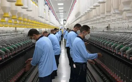 خطة شاملة لتعزيز وتطوير صناعة الغزل والنسيج في مصر