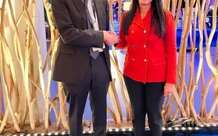 المشاط تستعرض فرص التعاون مع نائب رئيس البنك الآسيوي للاستثمار في البنية التحتية