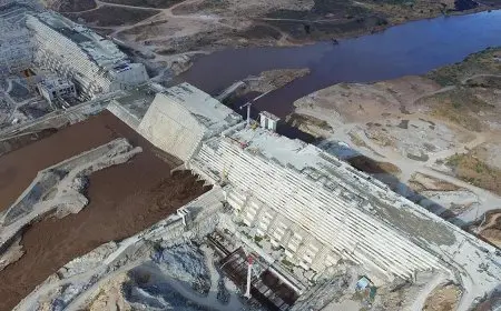 الرئيس السيسي يعلن عن الأضرار التي تسببت بها إثيوبيا لدولتي المصب نتيجة لسوء إدارة السد