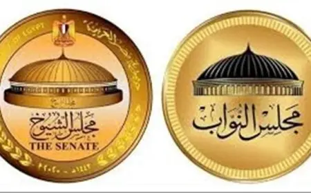 تعيينات مجلس الشيوخ تشمل 10 رؤساء أحزاب و4 نواب بارزين