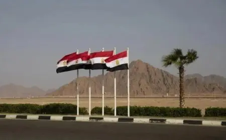 29 وفدًا عالميًا يشاركون في قمة شرم الشيخ للسلام ويدعمون مستقبل الاستقرار