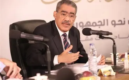 قرار رئيس الجمهورية بتشكيل مجلس إدارة الهيئة العامة للاستعلامات ينشر في الجريدة الرسمية