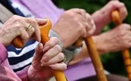 العمر ليس عائقًا تعرف على أسباب الحساسية والكرامة الزائدة بعد الستين