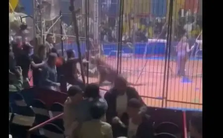 أنوسة كوتة تكشف أسرار حادث سيرك طنطا وتوضح كيف لم يخطئ النمر