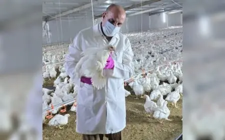 تفشي إنفلونزا الطيور في شمال العراق يؤدي إلى نفوق 12000 طائر بشكل مروع