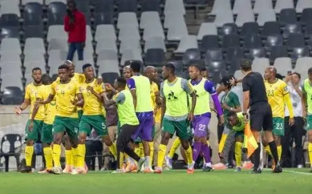 جنوب أفريقيا تحقق التأهل إلى نهائيات كأس العالم 2026 للمرة الرابعة في تاريخها