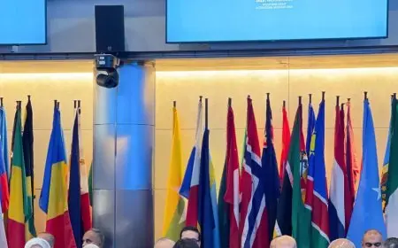 وزيرة التخطيط تدعو البنك الدولي لتعزيز الشراكات لدعم القطاع الخاص في مصر