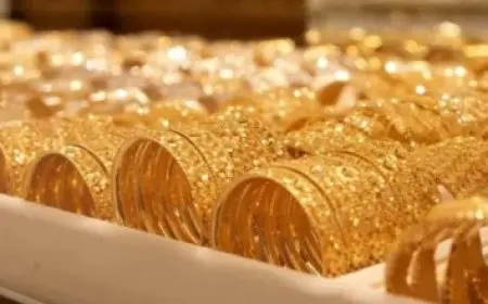 المشاط تعقد اجتماعات هامة مع ممثلي الحكومة الأردنية واللبنانية ورئيس البنك الأفريقي للتنمية لتعزيز التعاون الاقتصادي