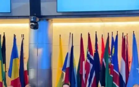 زواج دينا أبو الخير مسؤولية كبيرة وينبغي عدم الانشغال بالمظاهر المادية الزائلة