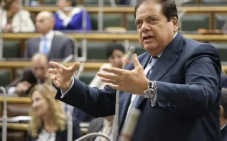 أبو العينين يؤكد أن مصر رسمت خطوطًا حمراء ورفضت تهجير سكان غزة