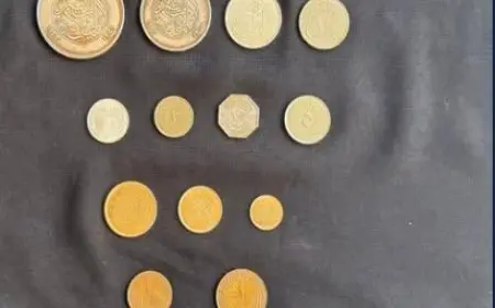 اكتشاف مذهل لعملات ذهبية نادرة في الإسكندرية تعود لعهد السلطان حسين كامل