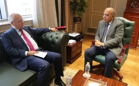 وزير الكهرباء يلتقي سفير السويد في القاهرة لتعزيز التعاون في الطاقة المتجددة