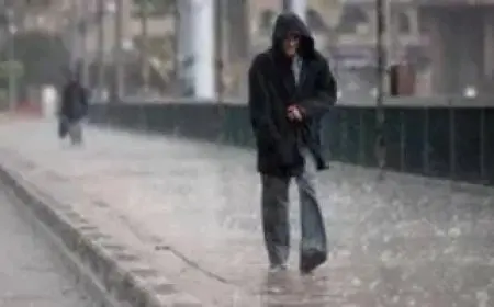 أحوال الطقس في مصر يوم الجمعة: برودة وشبورة صباحية مع فرص أمطار خفيفة