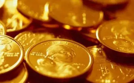 الجنيه الذهب يسجل مستوى قياسي في مصر تعرف على السعر الجديد