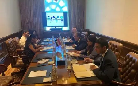 وزير الخارجية يلتقي رئيسة شركة Tata Sons الإقليمية لتعزيز التعاون الاقتصادي