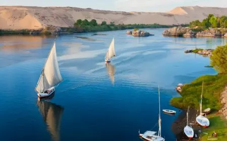 رئيس الوزراء يؤكد أن الأمن المائي لمصر خط أحمر لا يقبل المساومة أو التجريب السياسي