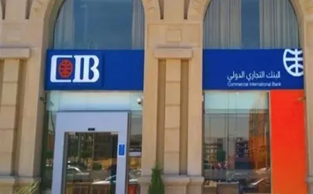البنك التجاري الدولي CIB يعلق خدمات بطاقات الائتمان مؤقتًا تعرف على الأسباب الحقيقية وراء القرار