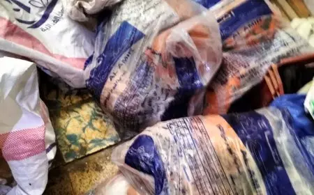 ضبط 224 طن لحوم ودواجن وأسماك وتحرير 466 محضر خلال أكتوبر 2025