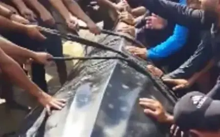 ظهور سمكة ضخمة تثير دهشة الصيادين والنازحين في خان يونس وتجذب الأنظار إلى البحر