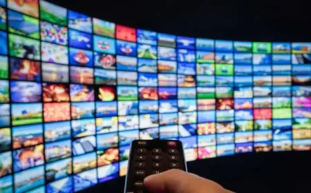 ضبط شبكة ستريم إيست يسبب خسائر قاسية للقنوات بملايين الدولارات