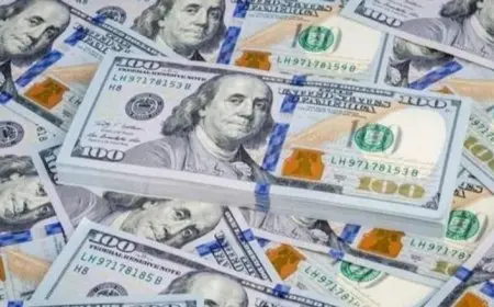 تعرف على سعر الدولار مقابل الجنيه المصري اليوم السبت 18 أكتوبر 2025 في البنوك